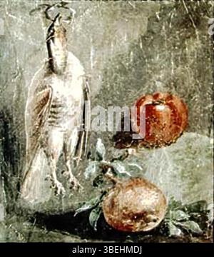 Une photographie de Stanley Jashemski montre une fresque romaine de nature morte du Ier siècle de la Maison des Stags à Herculanum. La fresque représente un oiseau suspendu avec des fruits, démontrant l'attention des Romains aux détails et leur appréciation de la nature et de la nourriture dans le cadre domestique Banque D'Images