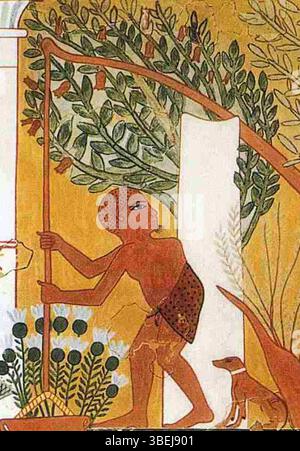 La scène de la tombe d'Ipuy montre un jardinier utilisant un ombrage pour irriguer des plants de granatum Punica (grenade), donnant un aperçu des anciennes pratiques agricoles en Égypte. Banque D'Images