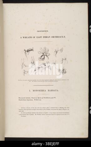 Le frontispice de John Lindley, publié en 1838, présente une illustration de diverses espèces d’orchidées dans le cadre de son travail botanique. Le frontispice comprend des plantes telles que Bulbophyllum crabro, Gastrochilus dasypogon et Phalaenopsis difformis, ce qui démontre l’habileté de Lindley en illustration botanique et sa contribution à la taxonomie végétale. Banque D'Images