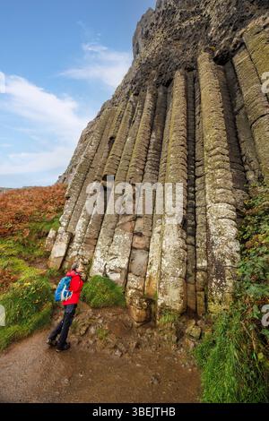 L'orgue, chaussée des géants, Co. Antrim, Irlande Banque D'Images