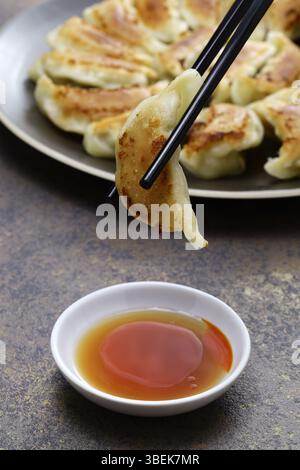 Gyoza, les potstickers japonais sont principalement cuits à la vapeur dans une poêle, puis frits jusqu'à ce qu'ils soient dorés et croustillants sur le fond. Banque D'Images