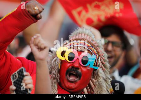Chandigarh, Inde. 29 mai 2025. CHANDIGARH, INDE - MAI 29 : fans lors du match de qualification IPL 2025 entre Punjab Kings et Royal Challengers Bengaluru au New PCA Stadium le 29 mai 2025, à Chandigarh, en Inde. (Photo de Surjeet Yadav/MB Media) crédit : MB Media solutions/Alamy Live News Banque D'Images