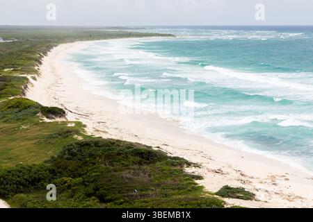 Une vue pittoresque sur une plage immaculée à Cozumel, au Mexique, avec une étendue de sable blanc, des eaux turquoises et une végétation verdoyante sous une Clea Banque D'Images