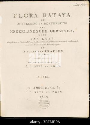 La page de titre de Flora Batava volume 10, édité par Jan Kops et publié en 1849, présente une suite de la série botanique sur la flore indigène néerlandaise. Banque D'Images