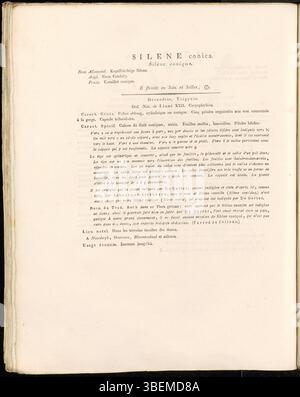 Cette illustration de *Silene conica*, de 1822, est la planche 0312 de la collection *Flora Batava* de Jan Kops. Il présente des descriptions botaniques détaillées de la plante, connue pour ses fleurs coniques. Kops était un botaniste néerlandais renommé qui a contribué de manière significative à la documentation des plantes indigènes aux pays-Bas. Banque D'Images