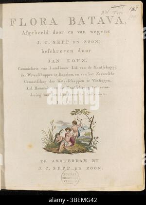 La page de titre de 'Flora Batava', volume 1, publié en 1800, présente le travail de Jan Kops, un botaniste renommé. Ce volume présente des illustrations botaniques détaillées et des descriptions de la flore hollandaise. Banque D'Images