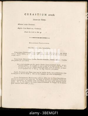 La planche 0043 de Flora Batava de Jan Kops (1765–1849) décrit la plante Cerastium arvense, communément appelée souris-oreille de champ. Cette description, publiée en 1800, détaille les caractéristiques de la plante, originaire d’Europe et souvent présente dans les champs et les zones perturbées. Banque D'Images