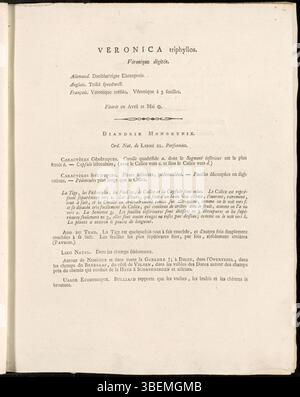 Description botanique française de Veronica triphyllos (Finger Speedwell) par Jan Kops de 1807, incluant la planche 0101 de la série Flora Batava. Banque D'Images