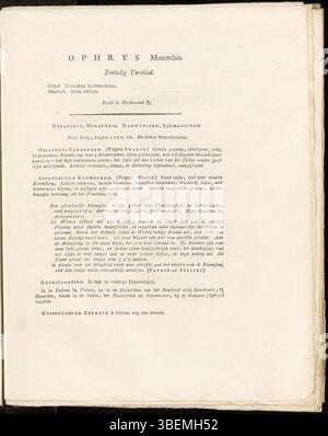 Cette plaque botanique de *Flora Batava* (1822) de Jan Kops présente *Ophrys monorchis*, maintenant connu sous le nom *Herminium monorchis*. La description et l'illustration sont en néerlandais, montrant les caractéristiques uniques de cette espèce d'orchidée. Banque D'Images