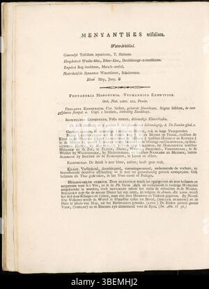 Description botanique de Menyanthes trifoliata (Bogbean) de 1800 en néerlandais, par Jan Kops, avec la planche 0002 de Flora Batava. Banque D'Images
