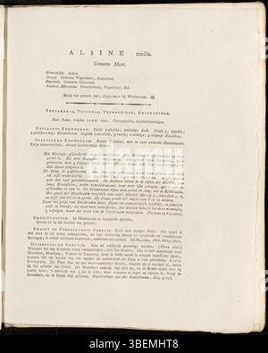 La plaque présente des milieux Alsine, des milieux Stellaria modernes, une espèce reconnue pour ses petites fleurs blanches et sa nature couvrant le sol. Dessinée par Jan Kops en 1822, l'illustration souligne ses pétales délicats et ses tiges rampantes. Cette plante se trouve souvent dans des environnements humides, ce qui en fait une espèce typique dans les prairies et les forêts européennes. Banque D'Images