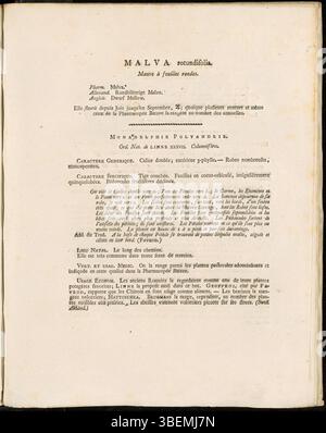 Cette traduction française de 1807 de *Flora Batava* par Jan Kops représente *Malva rotundifolia*, maintenant *Malva negecta*, mettant en vedette les traits clés de la plante, tels que ses feuilles rondes et ses fleurs délicates. Banque D'Images