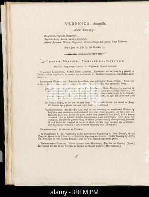 Cette illustration botanique de 1807 de Jan Kops représente *Veronica anagallis*, maintenant connue sous le nom *Veronica catenata*. L'œuvre fait partie de *Flora Batava*, un ouvrage botanique complet documentant la flore des pays-Bas. Banque D'Images
