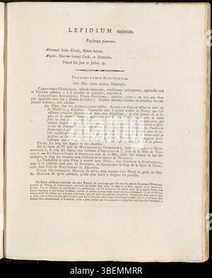 La planche 0045 de Flora Batava de Jan Kops (1765–1849) décrit la plante Lepidium ruderale, également connue sous le nom de poivre rudéral. Originaire d'habitats perturbés en Europe, les caractéristiques et les modes de croissance de la plante sont détaillés dans la description de 1800. Banque D'Images