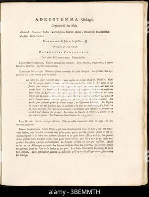 La planche 0197 de Flora Batava de Jan Kops (1814) représente Agrostemma githago, également connu sous le nom de coques de maïs. Cette plante est caractérisée par des fleurs roses avec des marques violettes et a été historiquement considérée comme une mauvaise herbe dans les champs de céréales. Banque D'Images