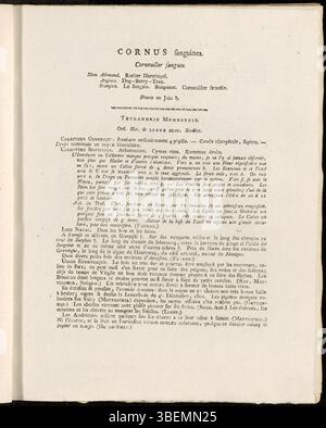 Cette illustration botanique de *Flora Batava* de Jan Kops, datée de 1807, représente *Cornus sanguinea*, une espèce de cornouiller. Le travail fait partie du catalogue botanique complet de Kops des plantes originaires des pays-Bas. Banque D'Images