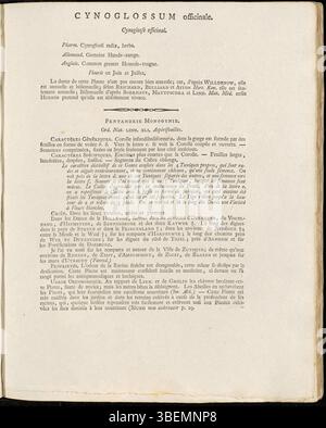 Une version française de l'illustration de Jan Kops de 1800 de *Cynoglossum officinale* (langue de chien), publiée dans *Flora Batava*. L'illustration met en évidence les principales caractéristiques de l'usine. Banque D'Images