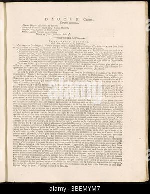 La planche 0093 de Flora Batava présente Daucus carota, également connu sous le nom de carotte sauvage. Créée par Jan Kops en 1807, cette illustration botanique met en valeur les traits clés de la plante, donnant un aperçu de sa morphologie et de sa classification botanique. Banque D'Images