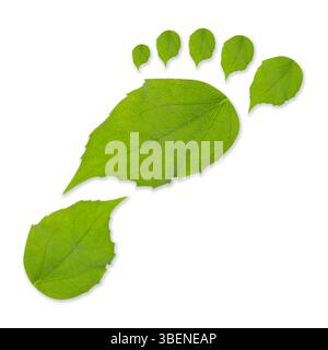 Empreinte humaine faite de feuilles vertes sur fond blanc, vue de dessus. Protection de l'environnement, protection de l'écologie, réduction des émissions de CO2 Banque D'Images