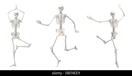 Modèle de squelette humain artificiel dans différentes poses isolé sur blanc, set Banque D'Images