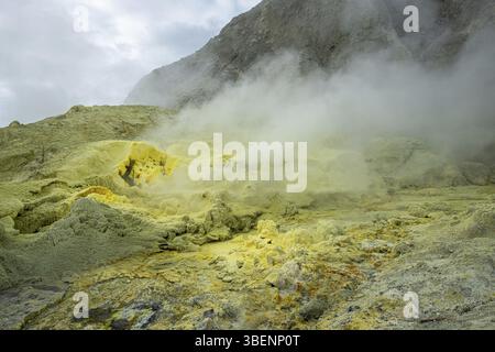 Île blanche de Whakaari NZ (te Puia o Whakaari) Banque D'Images