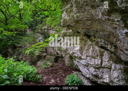 La zone de carrières autour de l'entrée de la grotte de Dale #1, une grotte phréatique naturelle avec quelques preuves de l'extraction ancienne de plomb. Banque D'Images