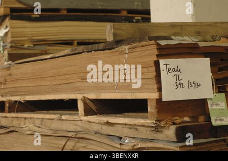 Palette en teck (Tectona grandis) Banque D'Images