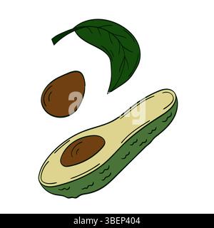 Illustration de fruits mignons dans le style de dessin à la main. Icône d'avocat sur fond blanc. Conception Illustration de Vecteur