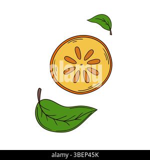 Illustration de fruits mignons dans le style de dessin à la main. Icône de kaki sur fond blanc. Conception Illustration de Vecteur