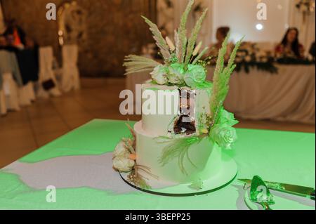 Élégant gâteau de mariage blanc à deux niveaux décoré d'arrangements floraux verts luxuriants et de touches d'écorce de bouleau, exposé sur une nappe vert citron Banque D'Images