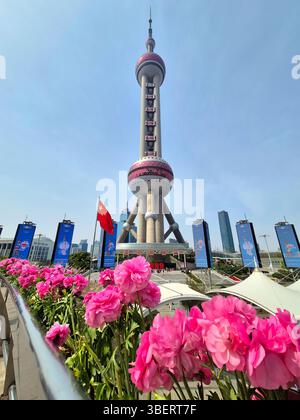 Shanghai, Chine - 1er avril 2025 : Tour perle orientale avec des fleurs roses éclatantes au premier plan sous le ciel bleu, drapeau national et paysage urbain en arrière-plan Banque D'Images
