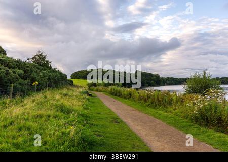 Sentier pédestre à côté du lac Talkin Tarn en Cumbria sur une soirée nuageuse d'été. Banque D'Images