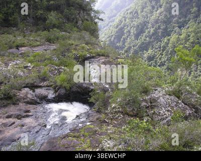 Près de Ellenborough Falls, Australie, Océanie Banque D'Images