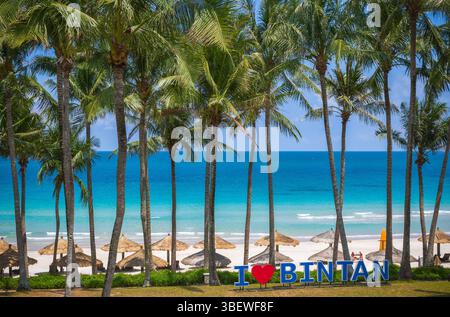 Plage tropicale avec des palmiers à l'île de Bintan, Indonésie, fond de vacances d'été Banque D'Images