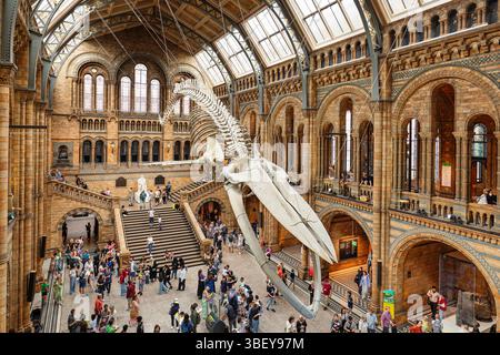 Musée des Sciences, South Kensington, Londres, Angleterre Banque D'Images