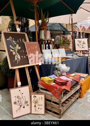 Un stand de marché vendant des fleurs séchées encadrées à la Foire de printemps dans le cadre du RHS Chelsea Flower Show à Chelsea, Londres, Angleterre, Royaume-Uni. Banque D'Images