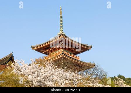 Temple Kiyomizudera et cerisiers en fleurs, district de Higashiyama, Kyoto, Japon Banque D'Images