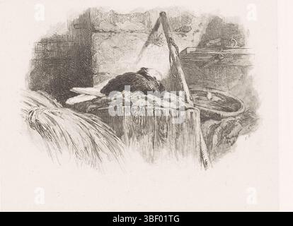 Paris, Bodmer, Karl, paysages avec des animaux, pigeon sur son nid, Paris, verso - estampillé, impression, hauteur 186 mm, largeur 231 mm, suisse, français, 1809-02-11 - 1893-10-30, graveur, 1847 - 1847, papier, chine collé, gravure, roulette Banque D'Images