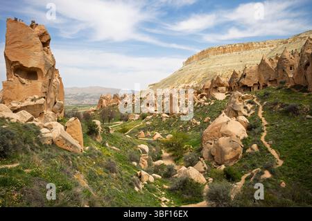 Le paysage surréaliste de la Cappadoce présente d'anciennes formations rocheuses volcaniques creusées dans des habitations. Cheminées de fées et maisons de grotte créent un géologi unique Banque D'Images
