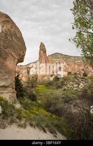 Le paysage surréaliste de la Cappadoce présente des cheminées de fées uniques sculptées par le vent et l'eau. Les formations rocheuses volcaniques créent une vie étonnante et surnaturelle Banque D'Images