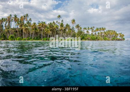 Plage paradisiaque avec des cocotiers et océan bleu sur une île tropicale en Indonésie. Vue panoramique depuis l'eau. Banque D'Images