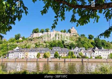 Le château de Grevenburg, une forteresse médiévale perchée sur une colline, surplombe la ville pittoresque de traben trarbach et la moselle, créant ainsi une vue magnifique Banque D'Images