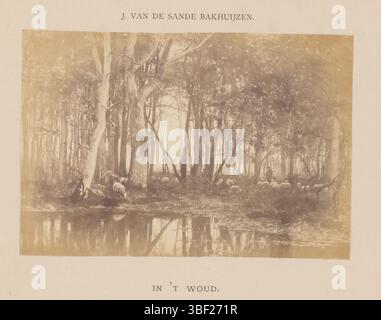 Sande Bakhuyzen, Julius Jacobus van de, in 't Wood, photoreproduction d'un tableau, représentant un troupeau de moutons le long d'une piscine, photographie, photo, reproduction, page, photos, livres photographiques illustrés, hauteur 108 mm, largeur 161 mm, photographe, 1868 - 1878, papier photographique, papier photo, tirage d'album, impression d'albumine, néerlandais, 1835-06-18 - 1925-10-21 Banque D'Images