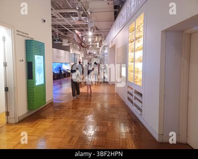 Toronto, ON, Canada - le 18 décembre 2024 : des articles de la collection d'histoire naturelle sont exposés lors d'une exposition au Musée royal de l'Ontario. Banque D'Images