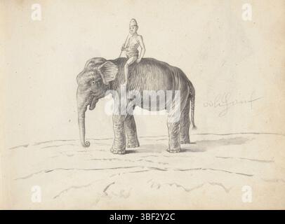 Sri Lanka, Boursse, Esaias, un éléphant et un mahout, Sri Lanka, au milieu de la feuille se trouve un éléphant sans défenses (aliya), vu de côté. Sur la gauche se trouve la tête avec le tronc suspendu et les oreilles plates retenues en arrière. C'est un éléphant sri-lankais (Elephas maximus maximus). En haut des épaules, sans selle, un chef d'éléphant (mahout ou nayaka) a un henduwa dans sa main droite, un bâton avec un crochet métallique invisible. L'homme n'est habillé que de pagne et a un chapeau sur la tête. À droite du dessin (plus tard, après 1671) se trouve un texte écrit au crayon : olifant. Feuille 43 à partir d'une esquisse Banque D'Images