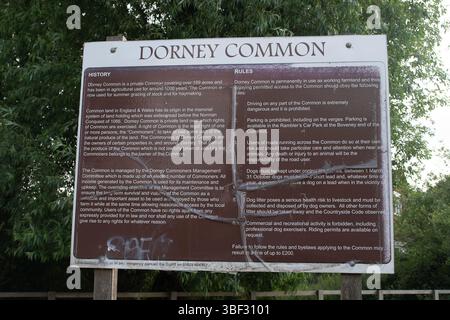 Dorney, Buckinghamshire, Royaume-Uni. 30 mai 2025. Les bovins de Dorney Common dans le Buckinghamshire ont été équipés de colliers réfléchissants afin de les aider à être vus la nuit. Les colliers ont été payés par les habitants qui ont fait un don à une campagne Go-FundMe qui a permis de récolter 2 700 £. Tragiquement, une autre vache a subi des blessures catastrophiques plus tôt ce mois-ci lorsqu'elle a été heurtée par un véhicule alors qu'elle traversait la route et a dû être déposée par un vétérinaire. Dorney Common est utilisé à des fins agricoles depuis plus de mille ans. Mme Michelle Bosher, agricultrice de Dorney Common, plaide auprès du conseil du Buckinghamshire auprès du dr. Banque D'Images