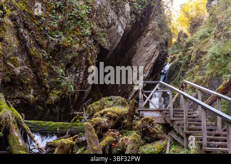 Une vue panoramique avec un pont en bois sur une cascade entourée de rochers couverts de mousse et d'une végétation luxuriante dans un canyon boisé serein. I Banque D'Images