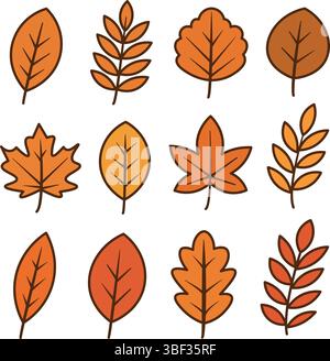 Une collection de diverses feuilles d'automne dans les tons orange et jaune. Les feuilles sont illustrées avec des contours simples et des formes diverses. Illustration de Vecteur