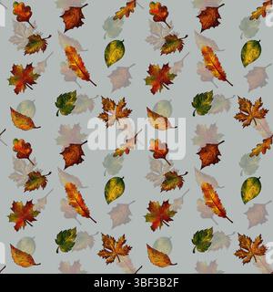 Belles feuilles d'automne sur un fond gris, motif sans couture. Illustration numérique aquarelle Banque D'Images