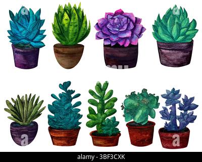 Clipart de succulentes vertes et bleues dans un pot, set. Illustration aquarelle, objets isolés Banque D'Images